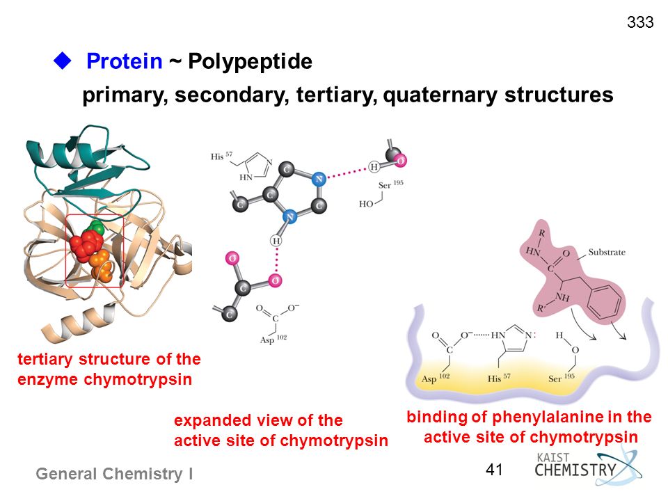 General Chemistry I 1 BONDING IN ORGANIC MOLECULES 7.1 Petroleum Refining and the Hydrocarbons 7.2 The Alkanes 7.3 The Alkenes and Alkynes 7.4 Aromatic. - ppt download