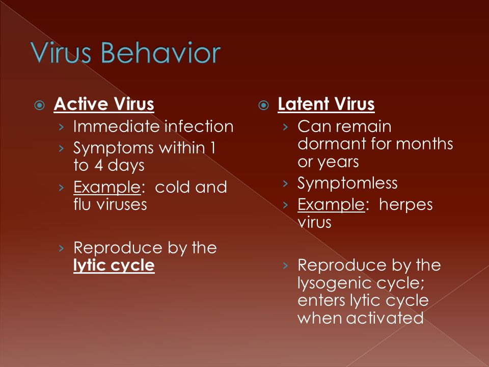  Active Virus › Immediate infection › Symptoms within 1 to 4 days › Example: cold and flu viruses › Reproduce by the lytic cycle  Latent Virus › Can remain dormant for months or years › Symptomless › Example: herpes virus › Reproduce by the lysogenic cycle; enters lytic cycle when activated