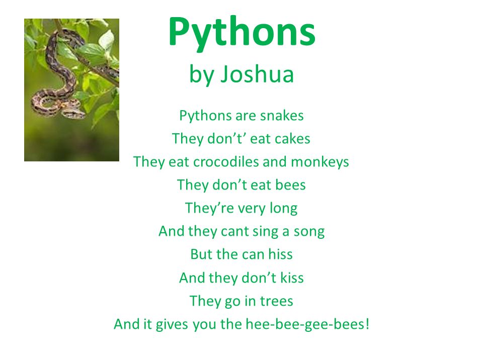 Animal Poems By Ms. Conrad's First Grade. Piranhas by Thomas Piranhas often  use their teeth for weapons To catch their prey Piranhas live in oceans  and. - ppt download