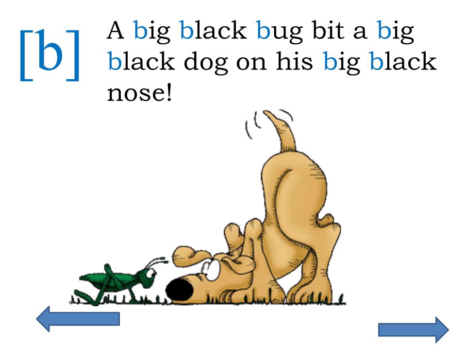Alice has a big black dog. Tongue Twister a big Black Bug bit. Скороговорки на английском для детей. Скороговорка на английском a big Black Bug. Английские скороговорки a big Black.