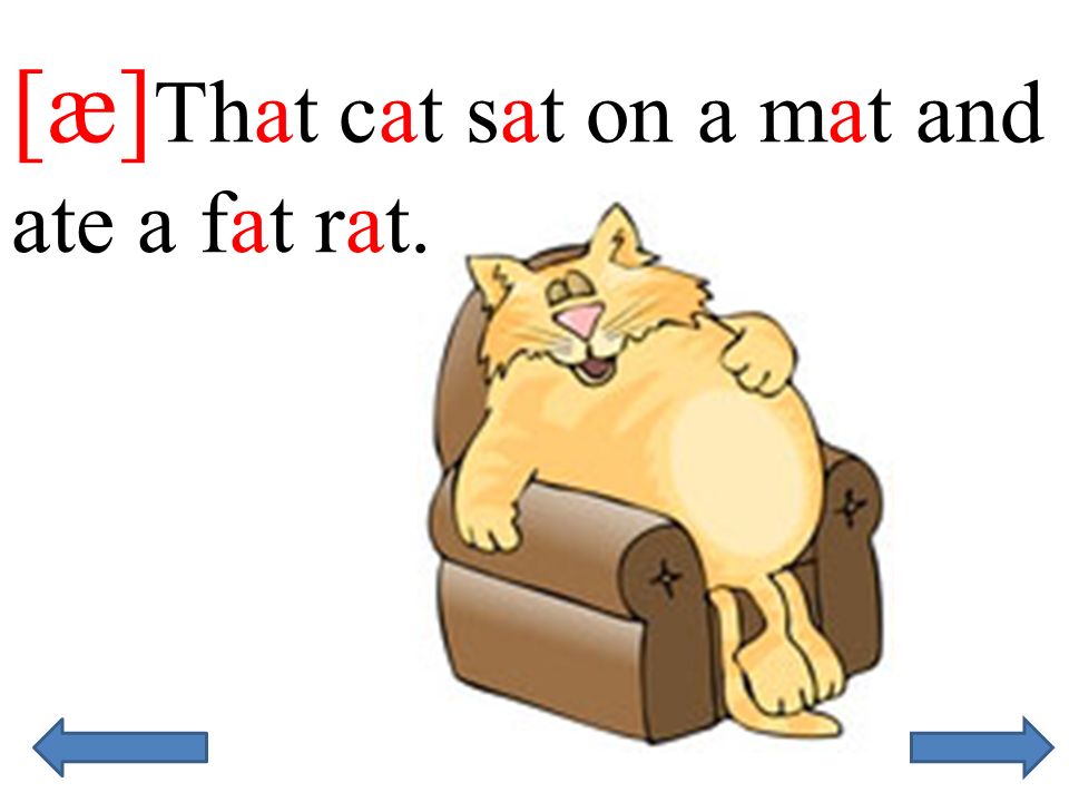Got a cat перевод на русский. Скороговорка a Black Cat sat on a mat and ate a fat rat. A fat Cat sat on a mat and ate a fat rat. A Cat sat on a mat. A fat Cat sat on a mat and ate a fat rat транскрипция.