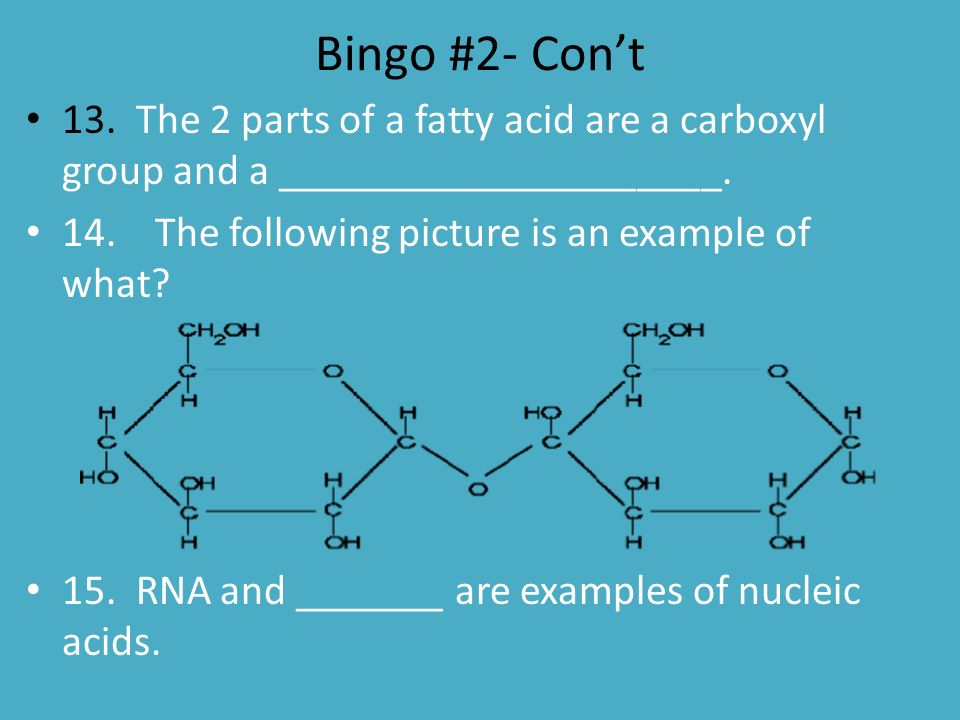 Bingo #2- Con’t 13. The 2 parts of a fatty acid are a carboxyl group and a _____________________.