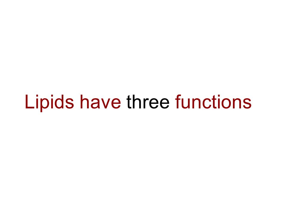 Lipids have three functions