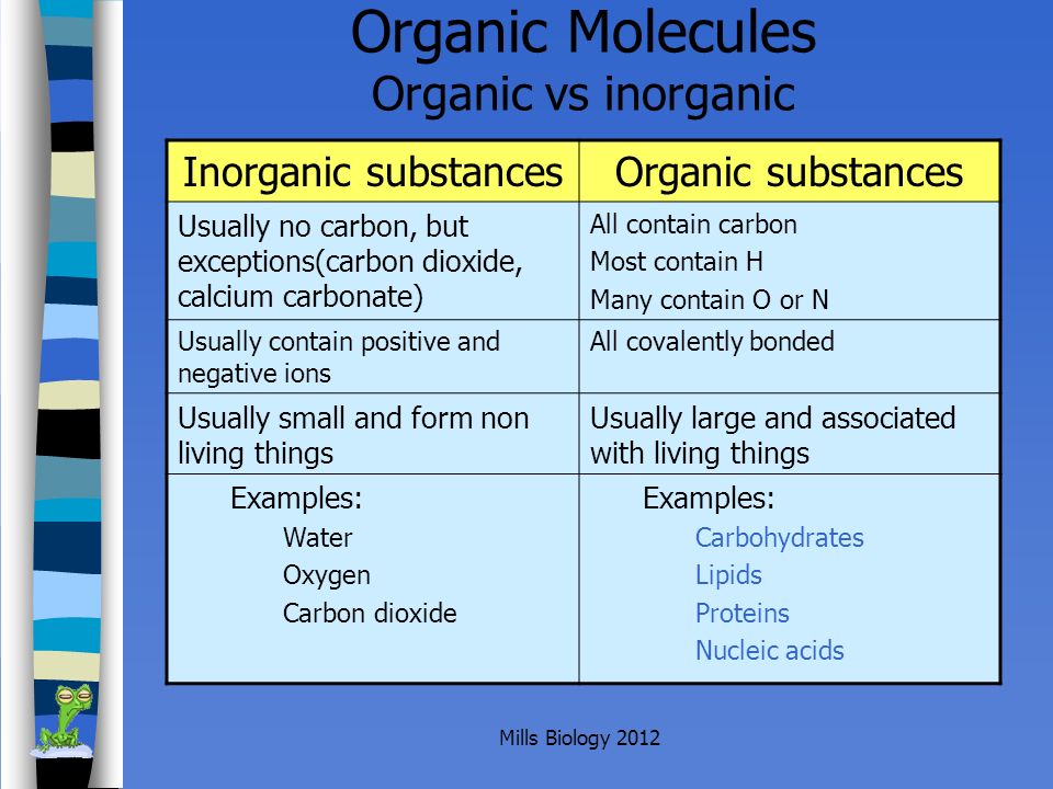 organic vs inorganic biology
