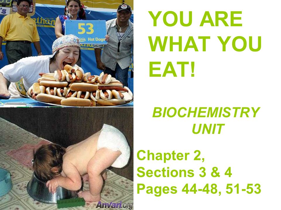YOU ARE WHAT YOU EAT. BIOCHEMISTRY UNIT Chapter 2, Sections 3 & 4 Pages 44-48, Mr.