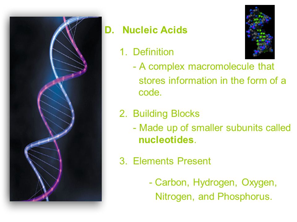 D. Nucleic Acids 1.