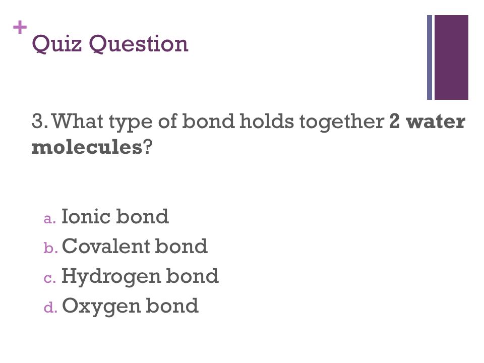 + Quiz Question 3. What type of bond holds together 2 water molecules.