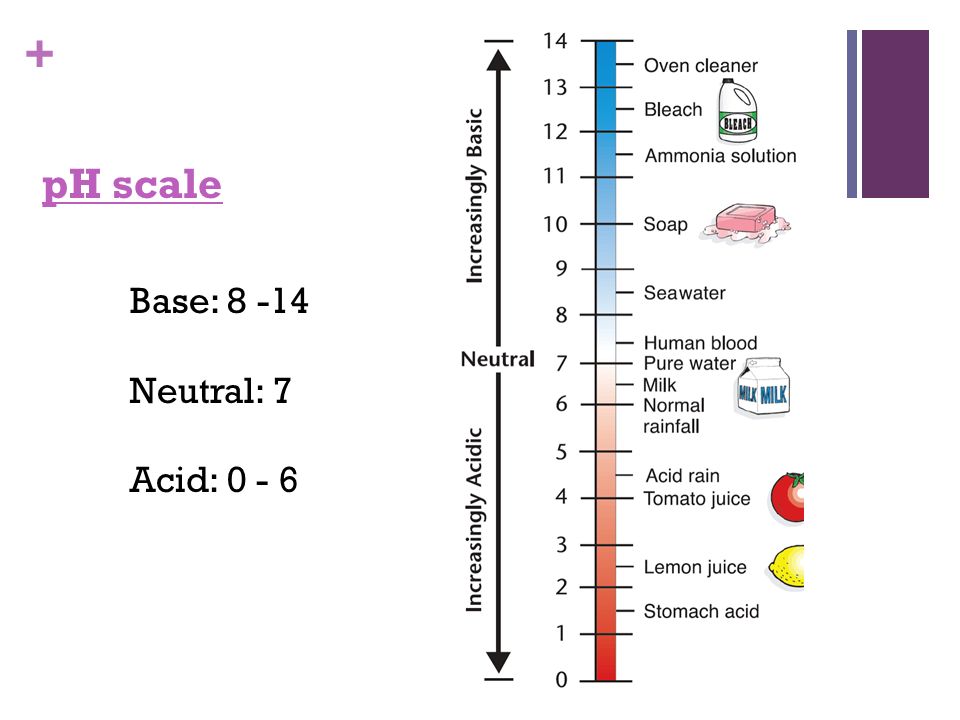 + pH scale Base: Neutral: 7 Acid: 0 - 6