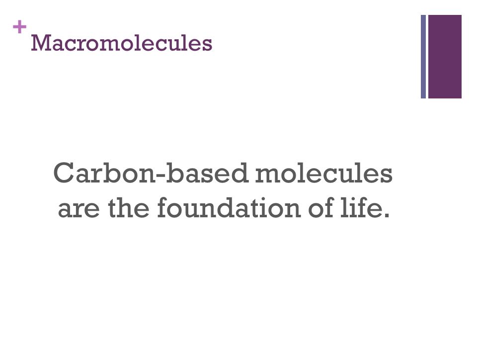 + Macromolecules Carbon-based molecules are the foundation of life.
