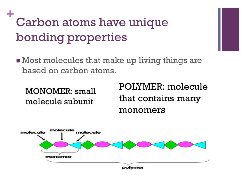 + Carbon atoms have unique bonding properties Most molecules that make up living things are based on carbon atoms.