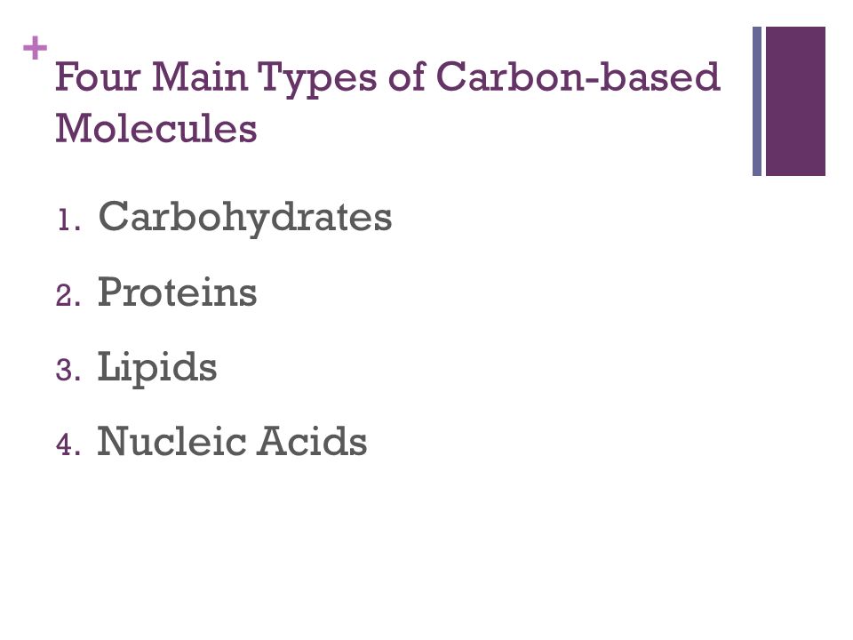 + Four Main Types of Carbon-based Molecules 1. Carbohydrates 2. Proteins 3. Lipids 4. Nucleic Acids