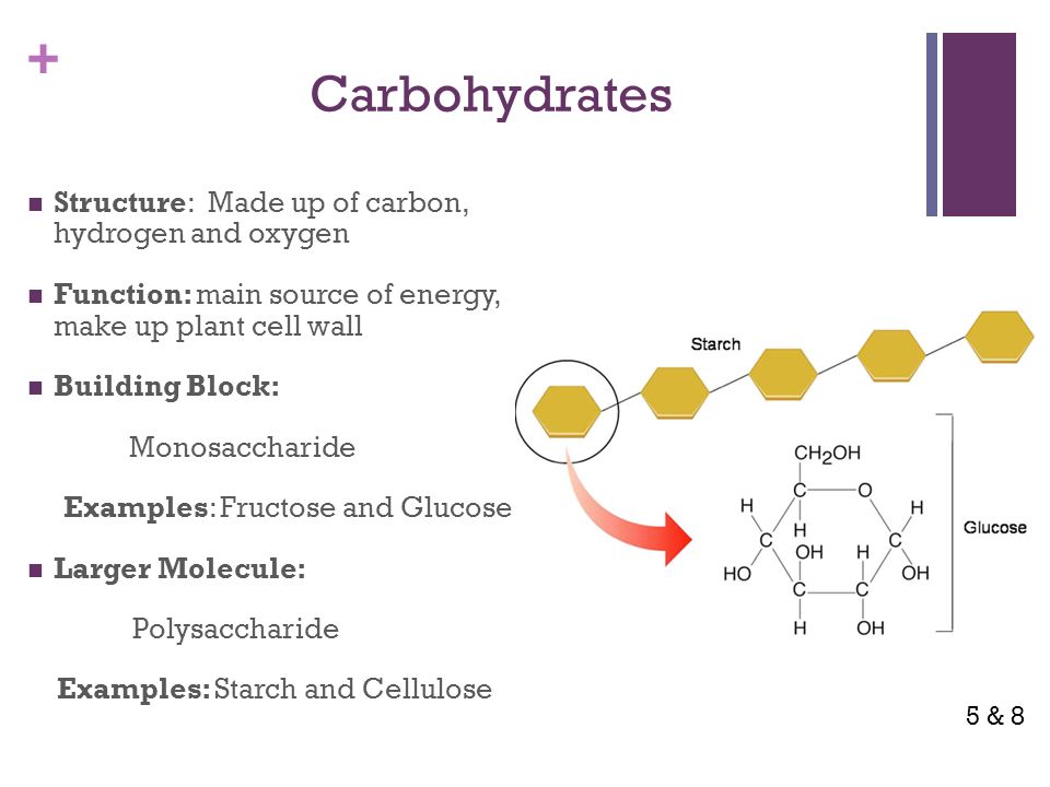 + Carbohydrates Structure: Made up of carbon, hydrogen and oxygen Function: main source of energy, make up plant cell wall Building Block: Monosaccharide Examples: Fructose and Glucose Larger Molecule: Polysaccharide Examples: Starch and Cellulose 5 & 8