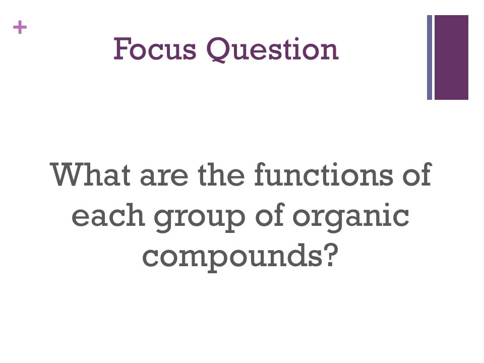 + Focus Question What are the functions of each group of organic compounds