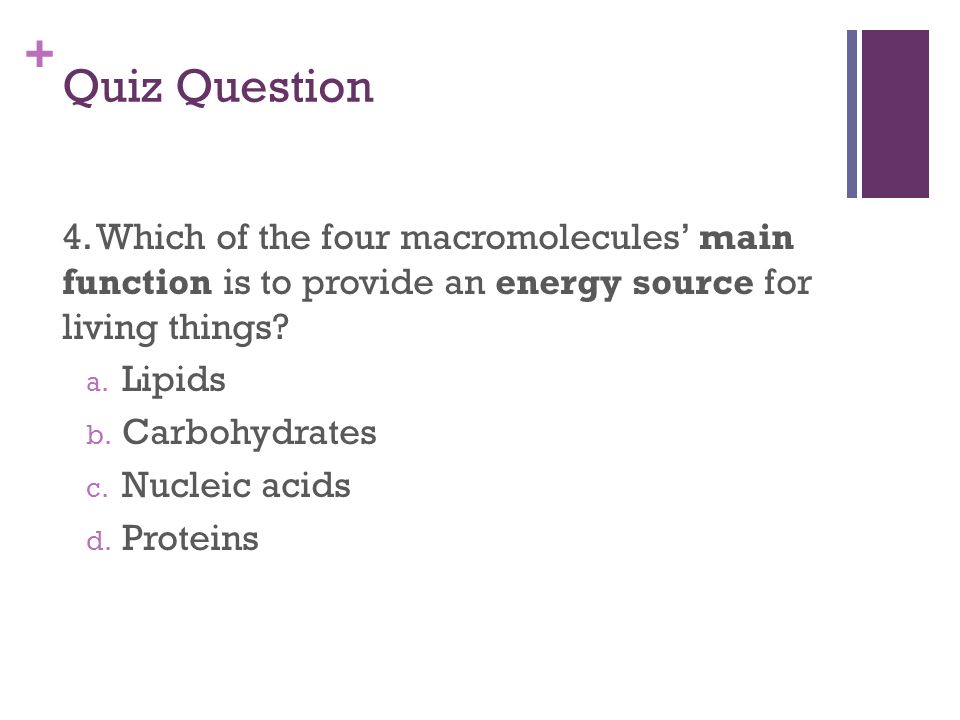 + Quiz Question 4.