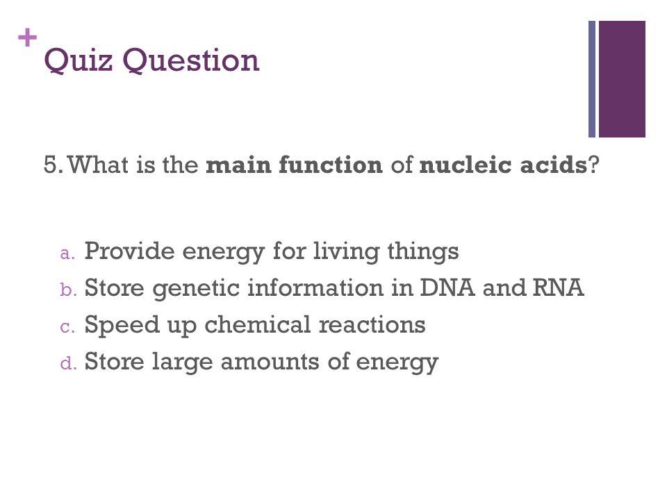 + Quiz Question 5. What is the main function of nucleic acids.