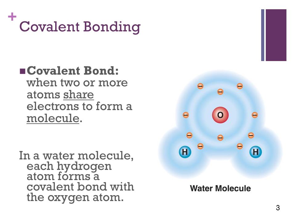+ Covalent Bonding Covalent Bond: when two or more atoms share electrons to form a molecule.