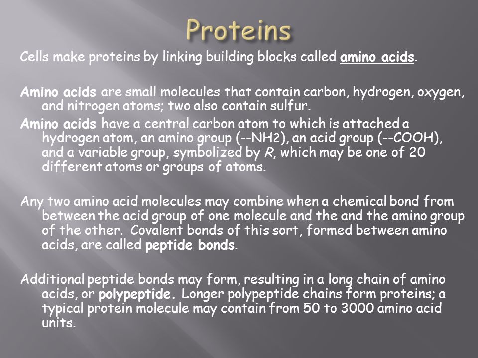 Cells make proteins by linking building blocks called amino acids.