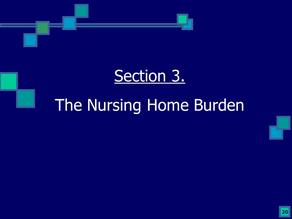 20 Section 3. The Nursing Home Burden