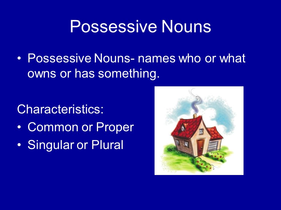 Possessive Nouns Possessive Nouns- names who or what owns or has something.