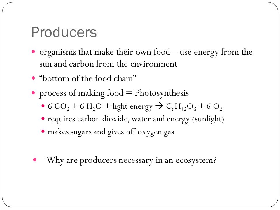 Producers organisms that make their own food – use energy from the sun and carbon from the environment bottom of the food chain process of making food = Photosynthesis 6 CO H 2 O + light energy  C 6 H 12 O O 2 requires carbon dioxide, water and energy (sunlight) makes sugars and gives off oxygen gas Why are producers necessary in an ecosystem