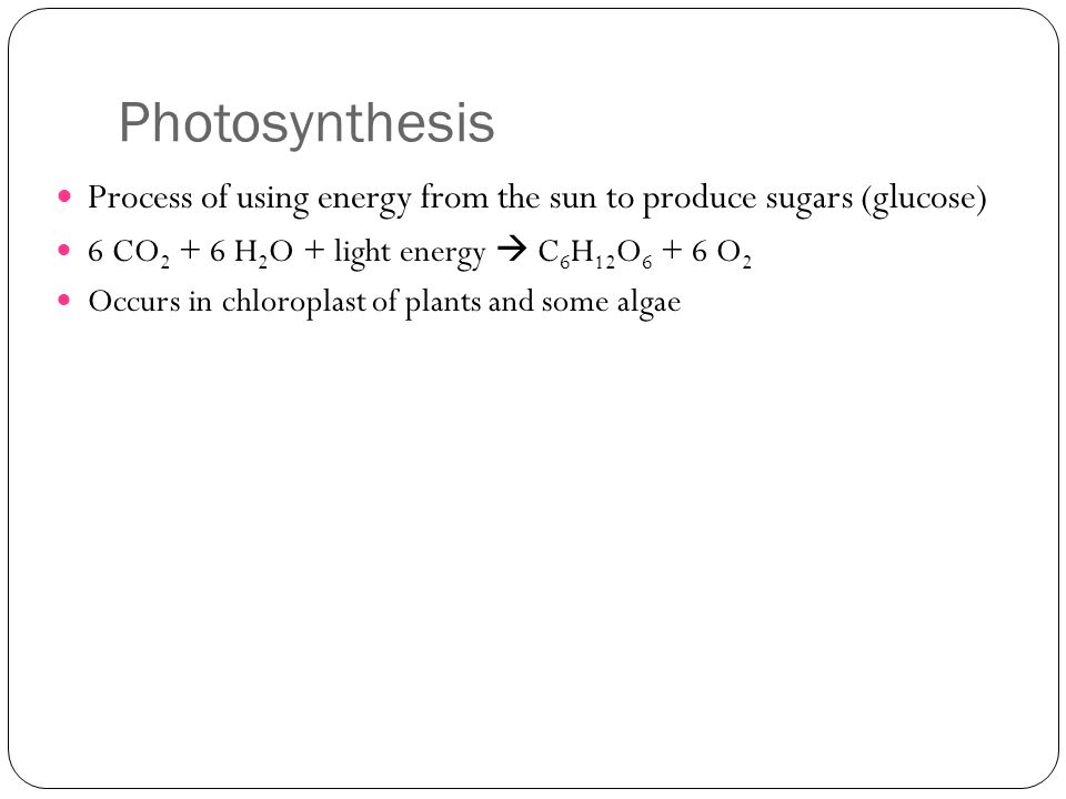 Photosynthesis Process of using energy from the sun to produce sugars (glucose) 6 CO H 2 O + light energy  C 6 H 12 O O 2 Occurs in chloroplast of plants and some algae