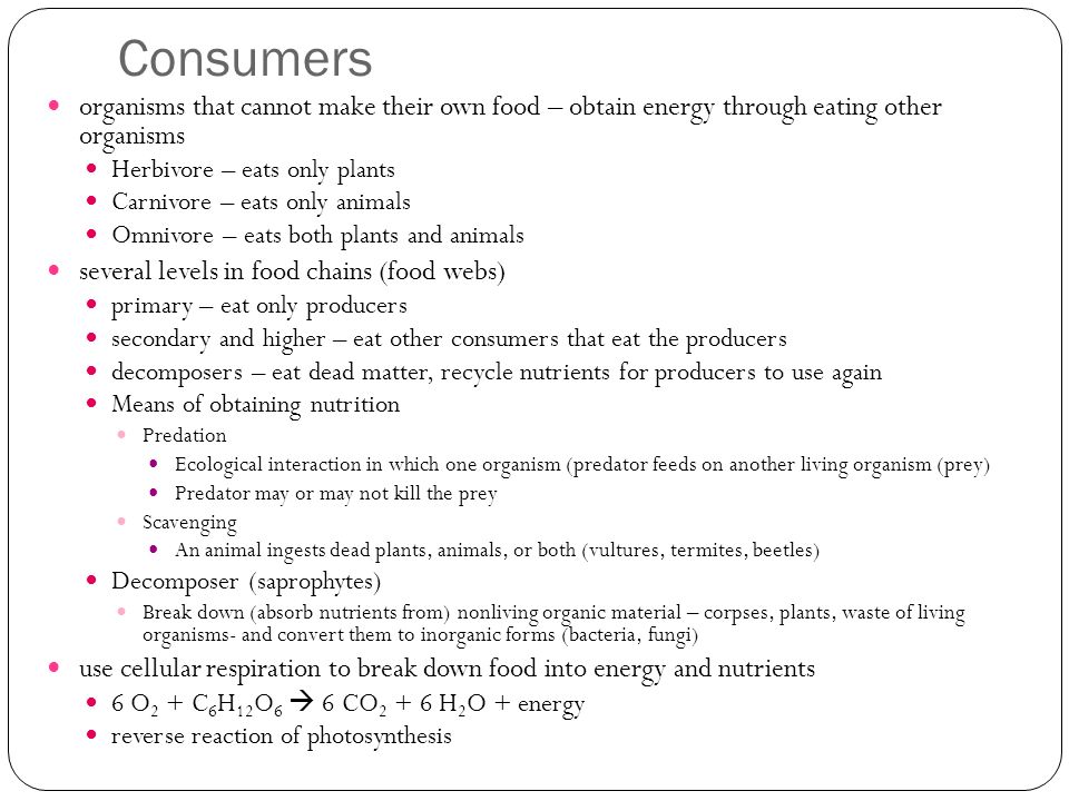 Consumers organisms that cannot make their own food – obtain energy through eating other organisms Herbivore – eats only plants Carnivore – eats only animals Omnivore – eats both plants and animals several levels in food chains (food webs) primary – eat only producers secondary and higher – eat other consumers that eat the producers decomposers – eat dead matter, recycle nutrients for producers to use again Means of obtaining nutrition Predation Ecological interaction in which one organism (predator feeds on another living organism (prey) Predator may or may not kill the prey Scavenging An animal ingests dead plants, animals, or both (vultures, termites, beetles) Decomposer (saprophytes) Break down (absorb nutrients from) nonliving organic material – corpses, plants, waste of living organisms- and convert them to inorganic forms (bacteria, fungi) use cellular respiration to break down food into energy and nutrients 6 O 2 + C 6 H 12 O 6  6 CO H 2 O + energy reverse reaction of photosynthesis