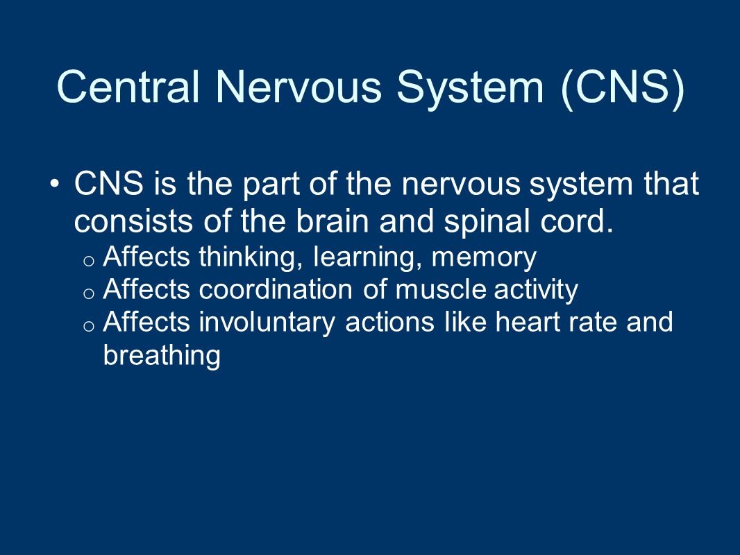 Central Nervous System (CNS) CNS is the part of the nervous system that consists of the brain and spinal cord.