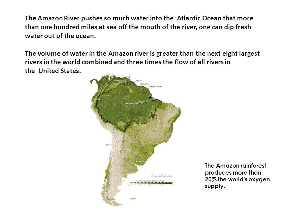 The Amazon rainforest produces more than 20% the world s oxygen supply.