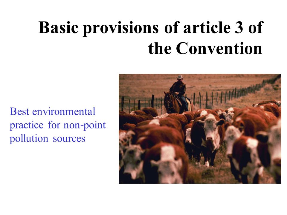 Best environmental practice for non-point pollution sources Basic provisions of article 3 of the Convention