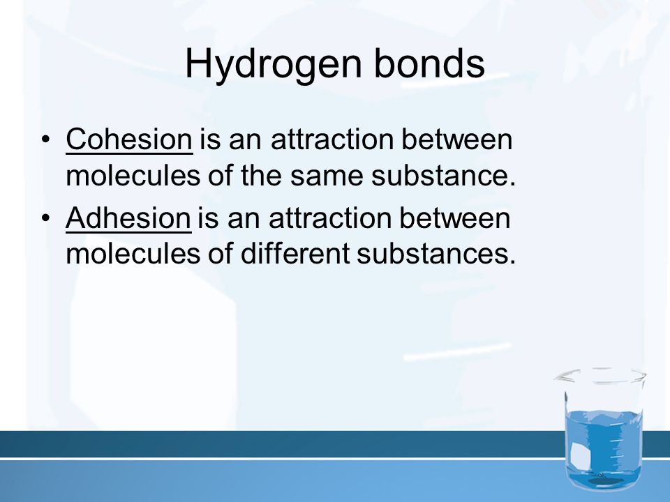 Hydrogen bonds Cohesion is an attraction between molecules of the same substance.