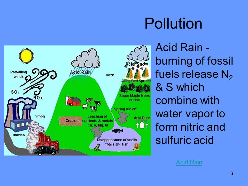 6 Pollution Acid Rain - burning of fossil fuels release N 2 & S which combine with water vapor to form nitric and sulfuric acid Acid Rain