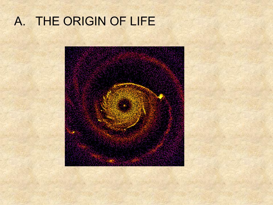 A. THE ORIGIN OF LIFE