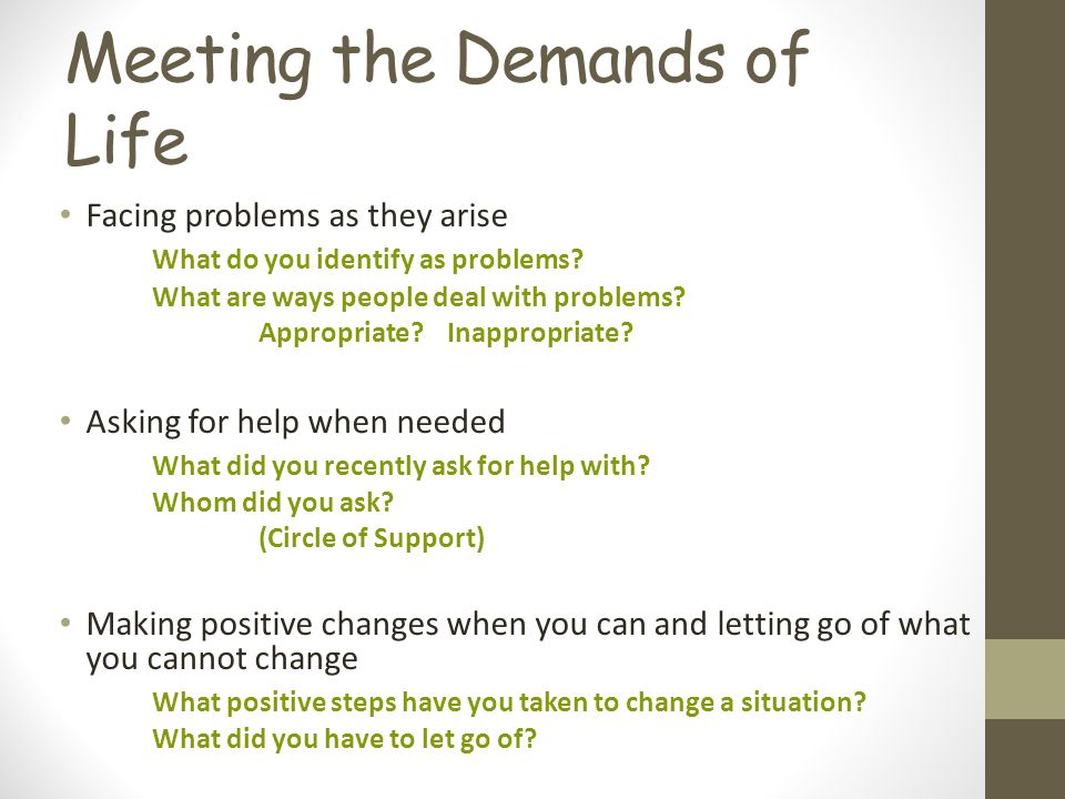 Meeting the Demands of Life Facing problems as they arise What do you identify as problems.
