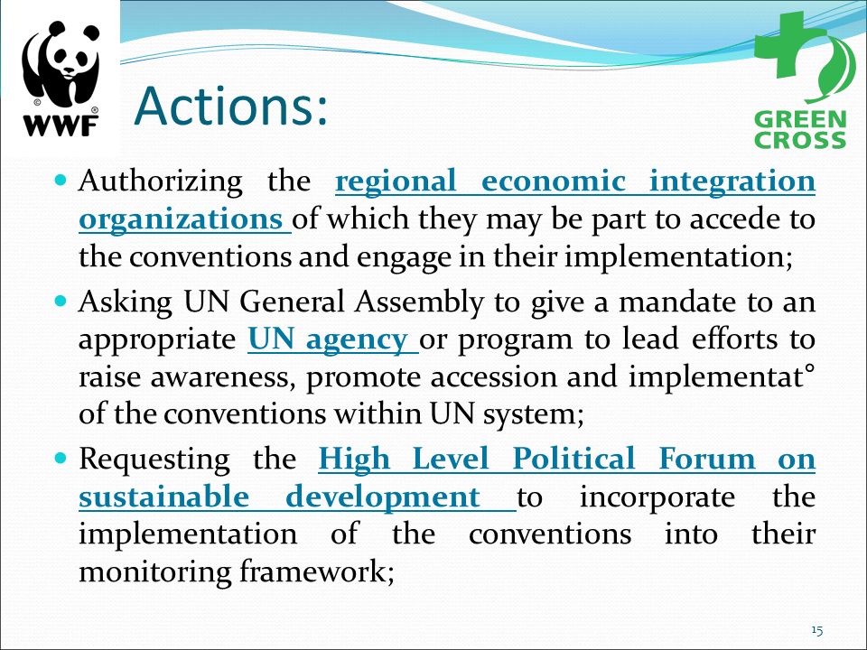 Actions: Authorizing the regional economic integration organizations of which they may be part to accede to the conventions and engage in their implementation; Asking UN General Assembly to give a mandate to an appropriate UN agency or program to lead efforts to raise awareness, promote accession and implementat° of the conventions within UN system; Requesting the High Level Political Forum on sustainable development to incorporate the implementation of the conventions into their monitoring framework; 15