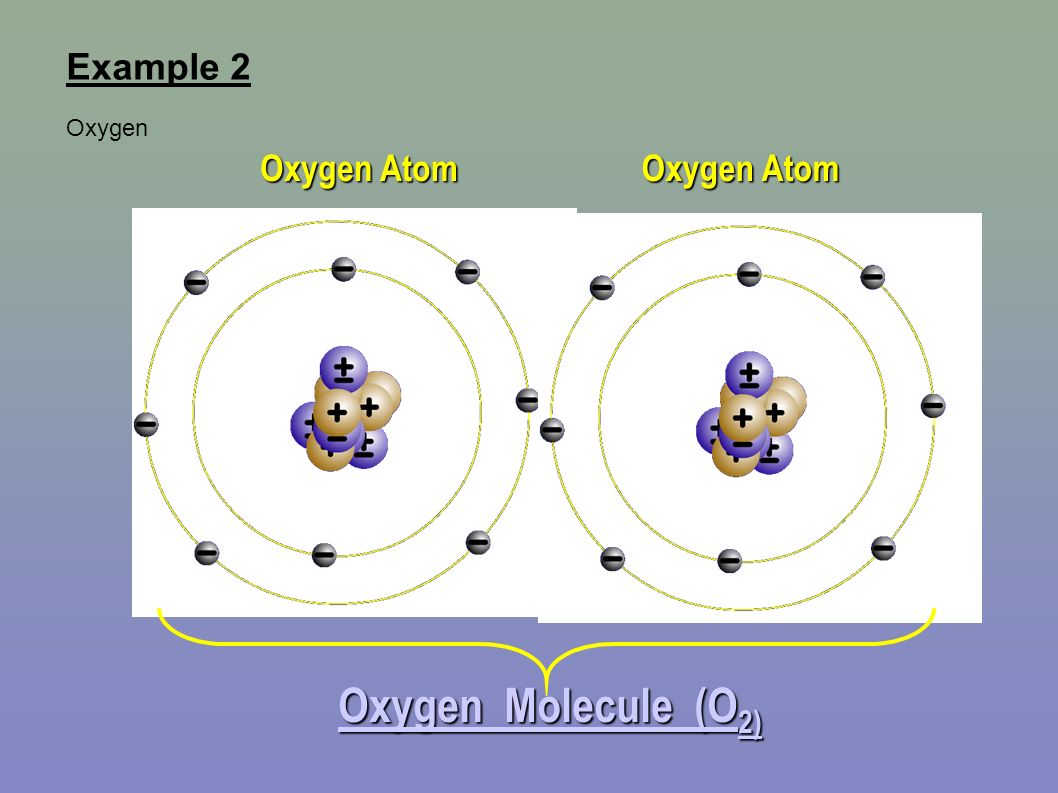 Example 2 Oxygen Oxygen Atom Oxygen Molecule (O 2) Oxygen Molecule (O 2)