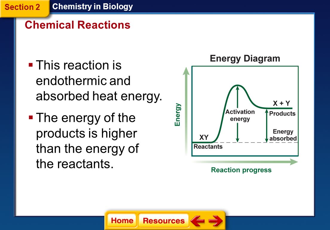 Chemistry in Biology  This reaction is exothermic and released heat energy.