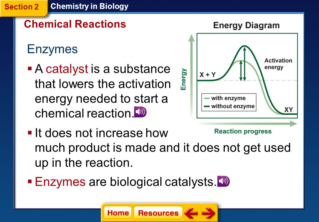 Chemistry in Biology  This reaction is endothermic and absorbed heat energy.