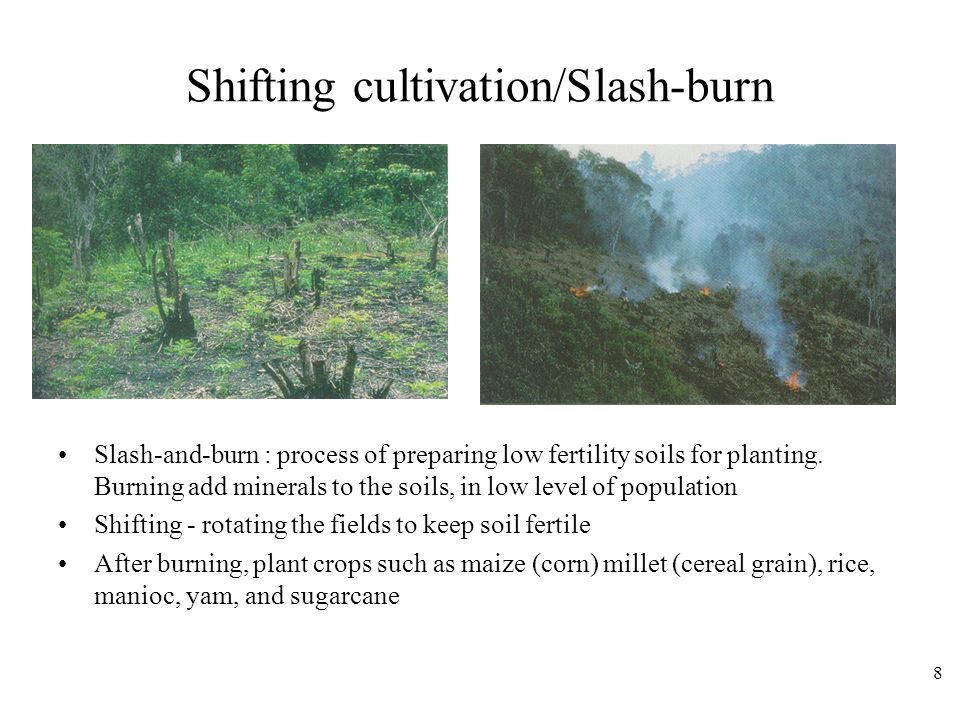 8 Shifting cultivation/Slash-burn Slash-and-burn : process of preparing low fertility soils for planting.