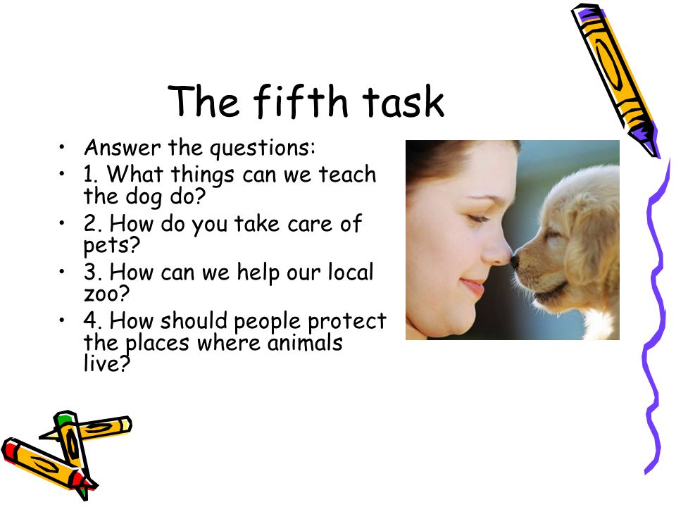The fifth task Answer the questions: 1. What things can we teach the dog do.