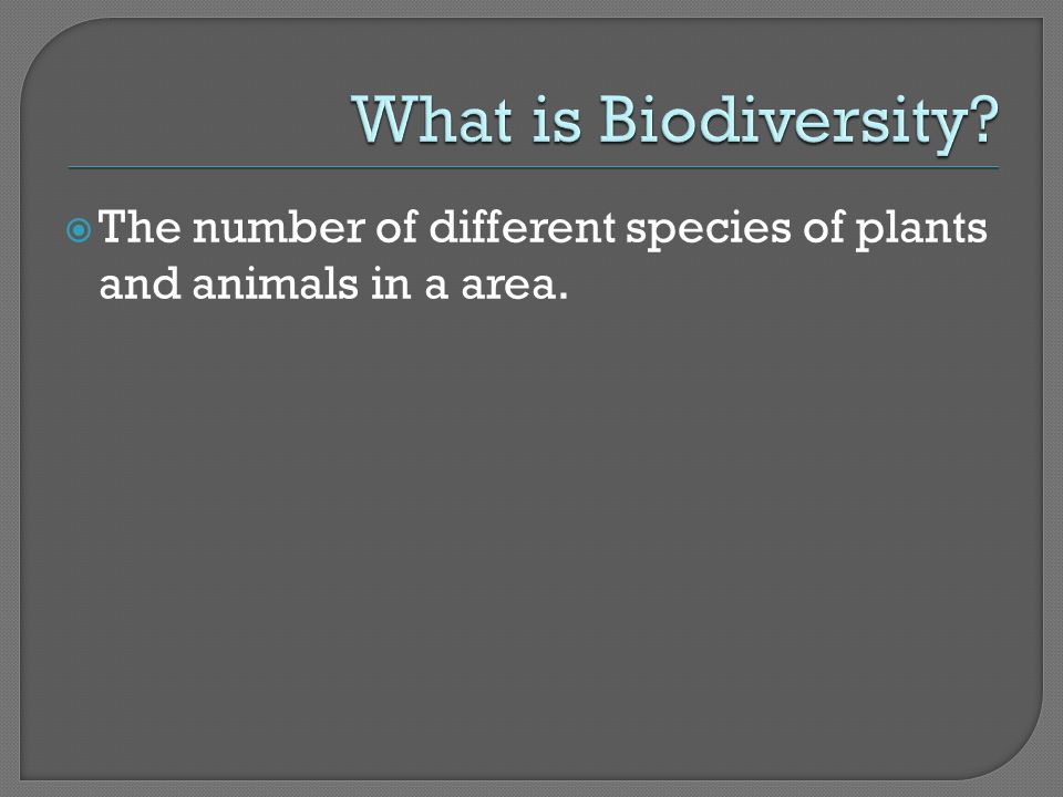 The number of different species of plants and animals in a area.