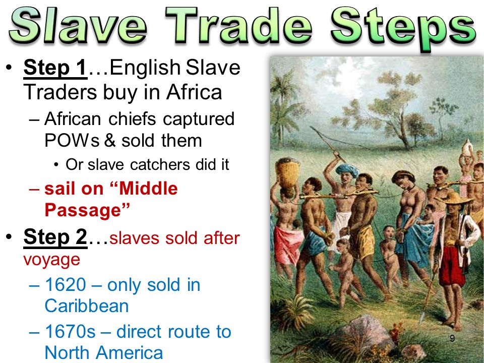 Step 1…English Slave Traders buy in Africa –African chiefs captured POWs & sold them Or slave catchers did it –sail on Middle Passage Step 2… slaves sold after voyage –1620 – only sold in Caribbean –1670s – direct route to North America 9