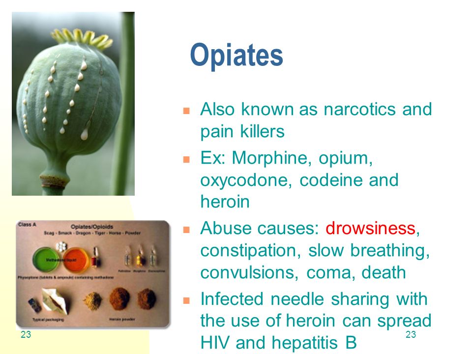 23 Opiates Also known as narcotics and pain killers Ex: Morphine, opium, oxycodone, codeine and heroin Abuse causes: drowsiness, constipation, slow breathing, convulsions, coma, death Infected needle sharing with the use of heroin can spread HIV and hepatitis B 23