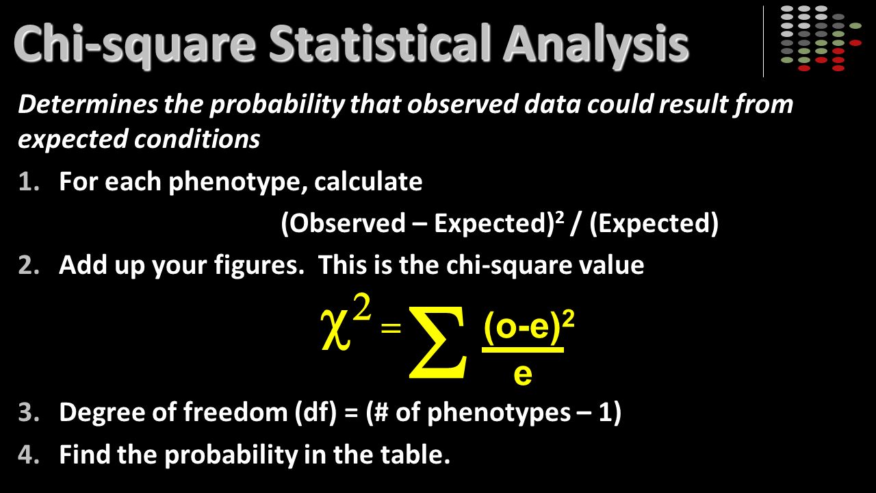 Chi-square Statistical Analysis Determines the probability that observed data could result from expected conditions 1.For each phenotype, calculate (Observed – Expected) 2 / (Expected) 2.Add up your figures.