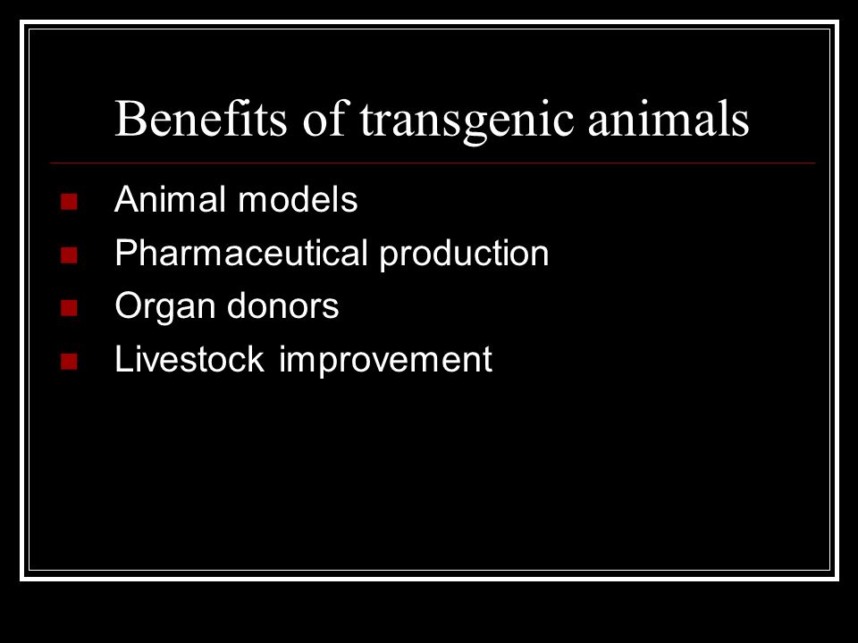 Objective :Analyze transgenic animals.. Early beginnings  Biotechnology – collection of scientific techniques that use living cells  and molecules. - ppt download