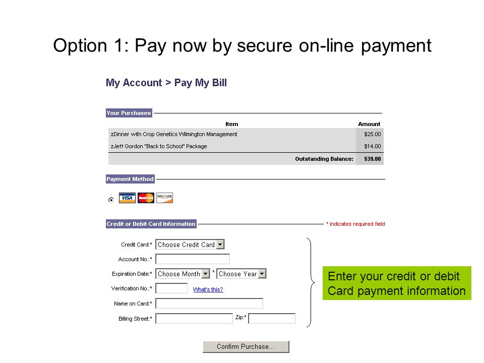 Option 1: Pay now by secure on-line payment Enter your credit or debit Card payment information