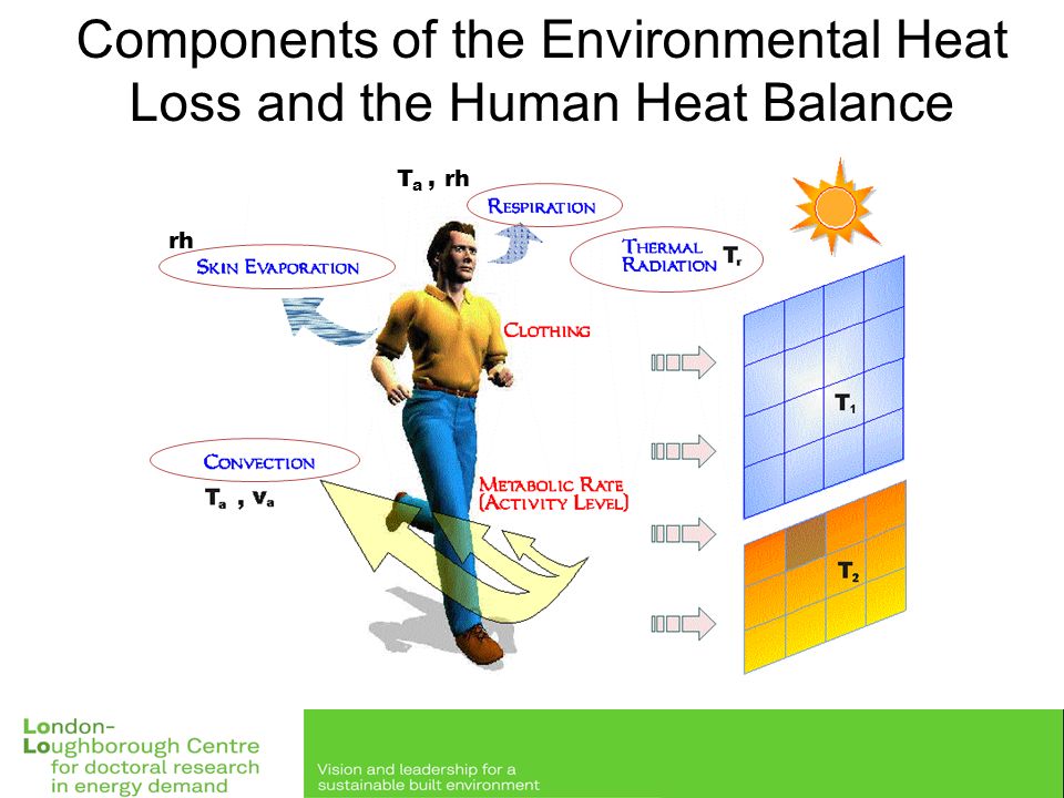 Thermal Comfort Building Physics Lo Lo Cdt Thursday 6 Th October