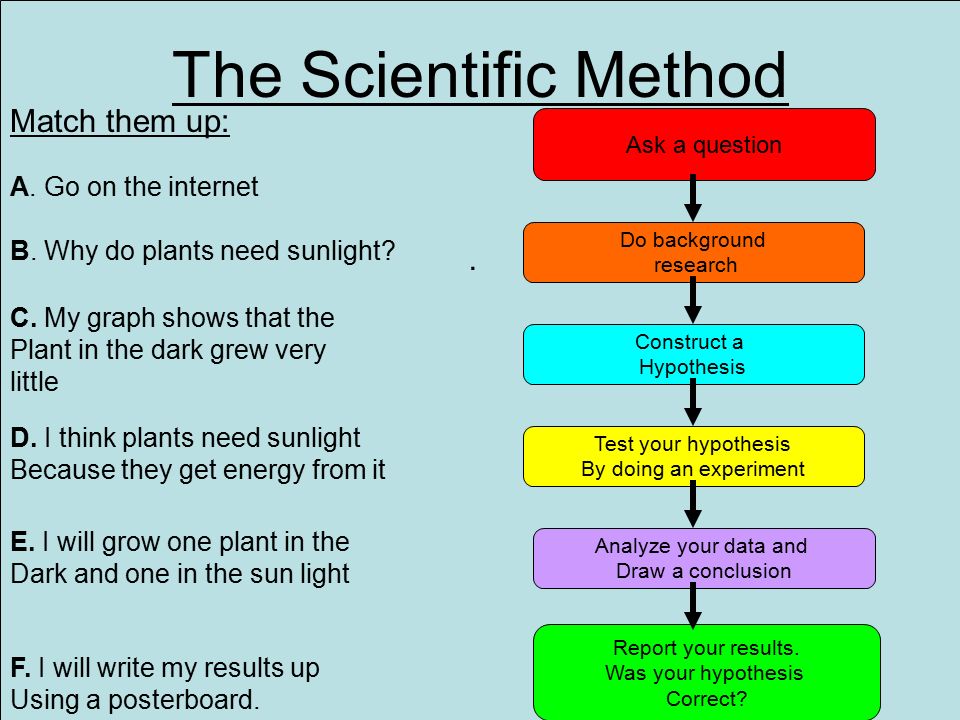 Presentation on theme: "The Scientific method By Biology Guy An Introd...
