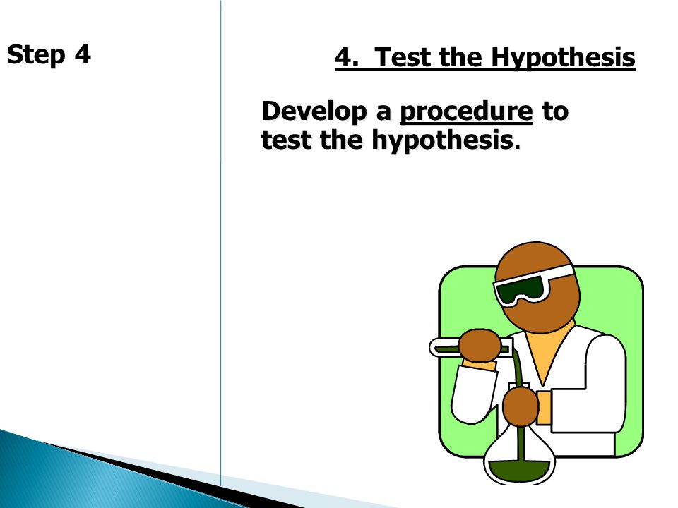 Step 4 4. Test the Hypothesis Develop a procedure to test the hypothesis.