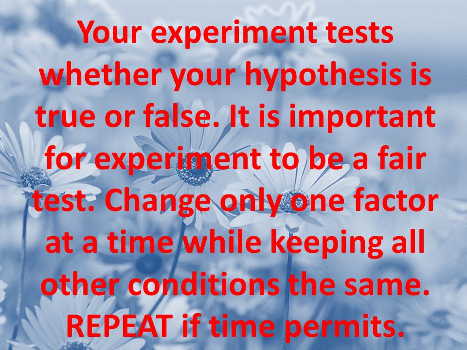 Your experiment tests whether your hypothesis is true or false.