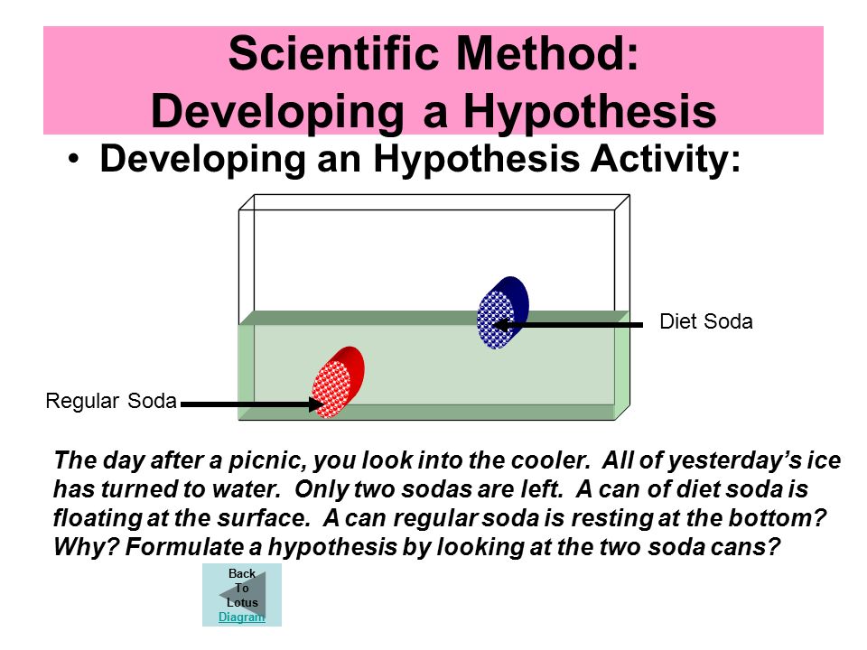 Scientific Method: Developing a Hypothesis Developing an Hypothesis Activity: Regular Soda Diet Soda The day after a picnic, you look into the cooler.